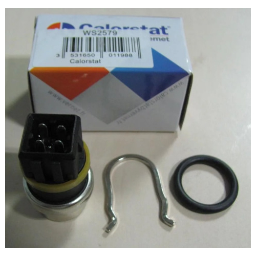 Датчик температуры VERNET WS2579