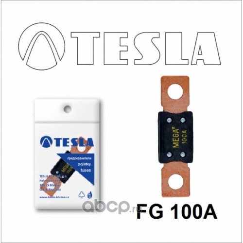 предохранитель 100 TESLA FG100A