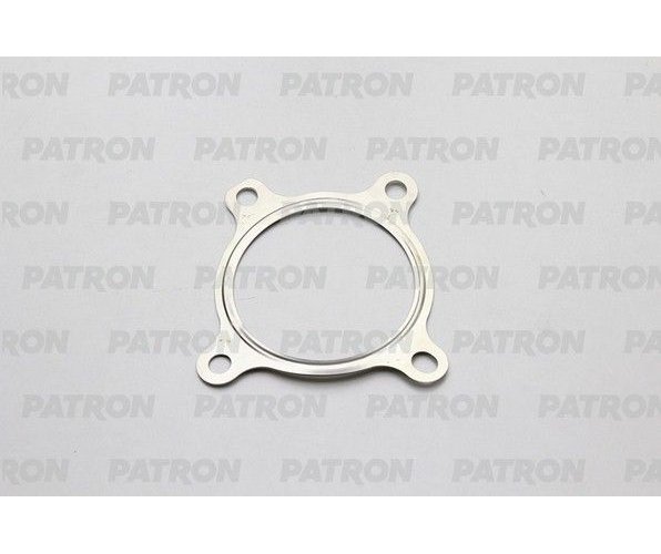 Прокладка TSI Audi PATRON PG52139