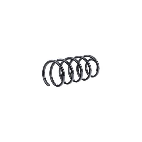 Пружина t5 перед ZENTPARTS Z38081