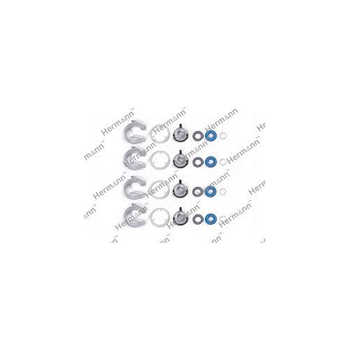 Ремкомплект форсунки TSI HERMANN HR0261500160KIT